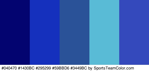 #040470 #1430BC #295299 #59BBD6 #3449BC Colors