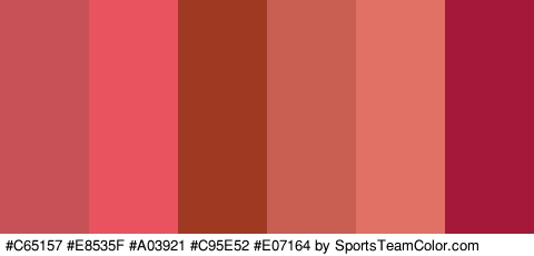 #C65157 #E8535F #A03921 #C95E52 #E07164 #A51839 Colors