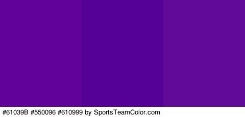 #61039B #550096 #610999 Colors