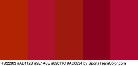 #B22303 #AD112B #9E1A0E #89011C #AD0834 Colors