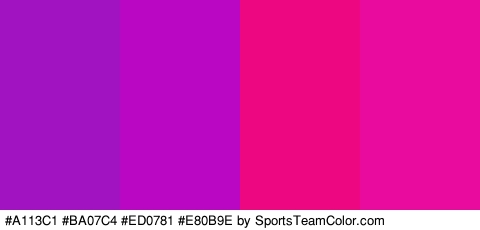 #A113C1 #BA07C4 #ED0781 #E80B9E Colors