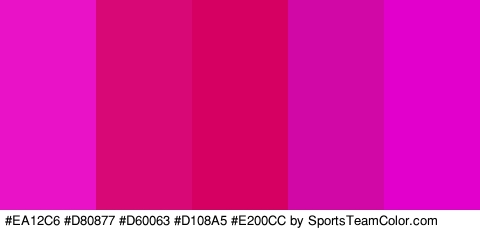 #EA12C6 #D80877 #D60063 #D108A5 #E200CC Colors