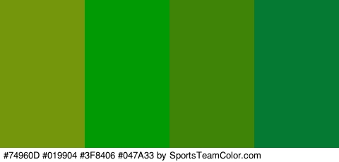 #74960D #019904 #3F8406 #047A33 Colors