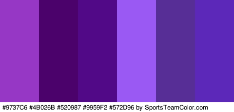 #9737C6 #4B026B #520987 #9959F2 #572D96 #5B28BA Colors