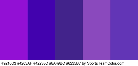 #9210D3 #4203AF #42238C #8A49BC #6235B7 Colors