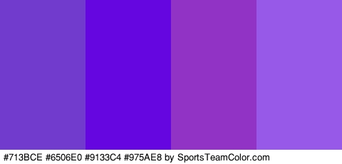 #713BCE #6506E0 #9133C4 #975AE8 Colors