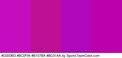 #C60DBD #BC0F94 #B107BA #BC01AA Colors