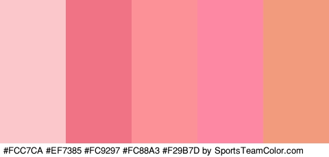 #FCC7CA #EF7385 #FC9297 #FC88A3 #F29B7D Colors