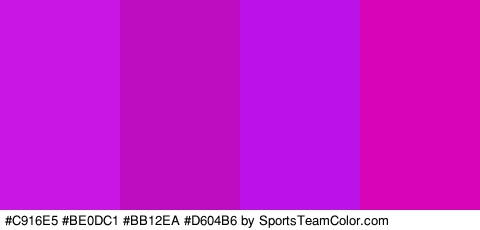 #C916E5 #BE0DC1 #BB12EA #D604B6 Colors