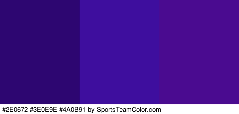 #2E0672 #3E0E9E #4A0B91 Colors