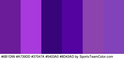 #6B1D99 #A739DD #37047A #5403A0 #8D43AD #8243BA Colors