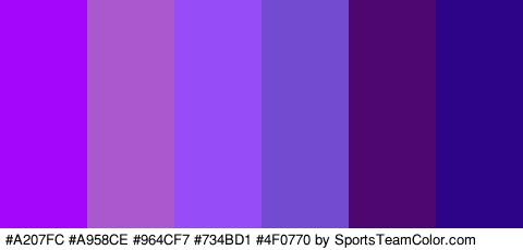 #A207FC #A958CE #964CF7 #734BD1 #4F0770 #2D0487 Colors