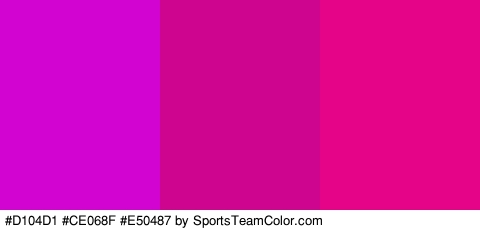 #D104D1 #CE068F #E50487 Colors