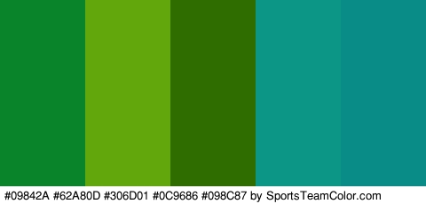 #09842A #62A80D #306D01 #0C9686 #098C87 Colors