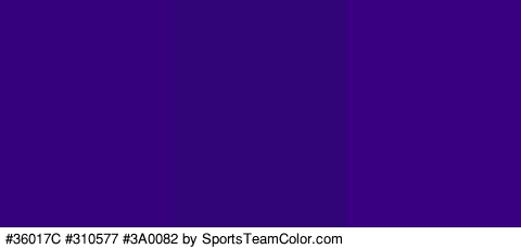 #36017C #310577 #3A0082 Colors