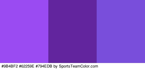 #9B4BF2 #62259E #794EDB Colors