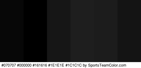 #070707 #000000 #161616 #1E1E1E #1C1C1C #141414 Colors