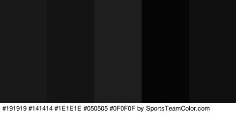 #191919 #141414 #1E1E1E #050505 #0F0F0F Colors