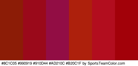 #8C1C05 #990919 #910D44 #AD210C #B20C1F #A30109 Colors