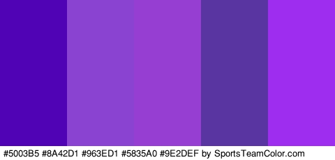 #5003B5 #8A42D1 #963ED1 #5835A0 #9E2DEF Colors