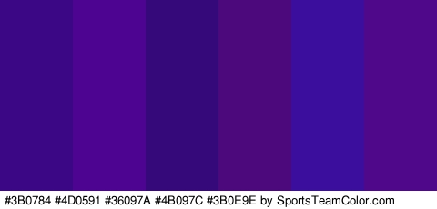 #3B0784 #4D0591 #36097A #4B097C #3B0E9E #4F0889 Colors