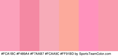 #FCA1BC #F489A4 #F7AAB7 #FCAA9C #FF91BD #F99AAD Colors