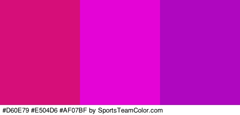 #D60E79 #E504D6 #AF07BF Colors