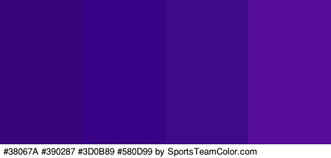 #38067A #390287 #3D0B89 #580D99 Colors