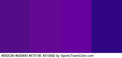 #550C89 #630893 #67019E #310682 Colors