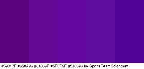 #59017F #650A96 #61069E #5F0E9E #510396 Colors