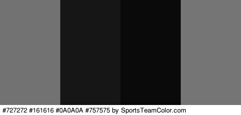 #727272 #161616 #0A0A0A #757575 Colors