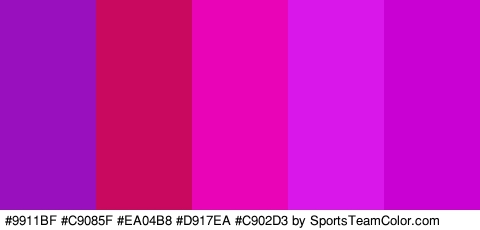 #9911BF #C9085F #EA04B8 #D917EA #C902D3 Colors