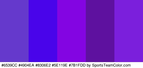 #6539CC #4904EA #8306E2 #5E119E #7B1FDD Colors