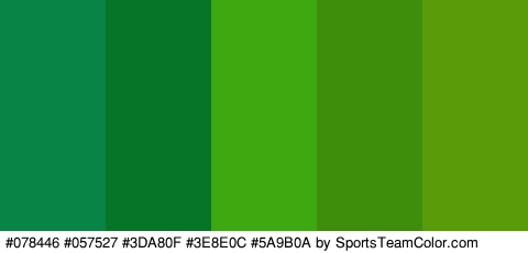 #078446 #057527 #3DA80F #3E8E0C #5A9B0A Colors