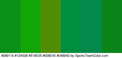 #089116 #12A508 #518E05 #008E40 #04894D #0A841A Colors