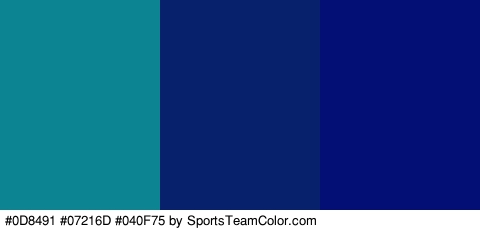 #0D8491 #07216D #040F75 Colors