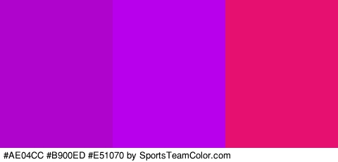 #AE04CC #B900ED #E51070 Colors