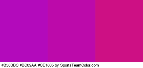 #B30BBC #BC09AA #CE1085 Colors