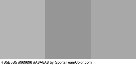 #B5B5B5 #969696 #A8A8A8 Colors