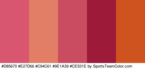 #D85670 #E27D66 #C94C61 #9E1A39 #CE531E Colors