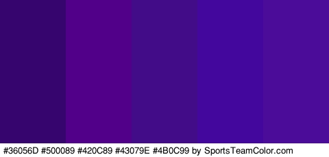 #36056D #500089 #420C89 #43079E #4B0C99 Colors