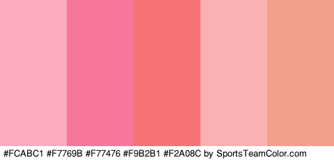 #FCABC1 #F7769B #F77476 #F9B2B1 #F2A08C Colors