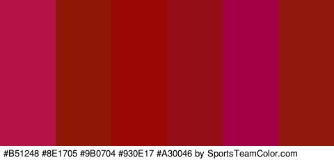 #B51248 #8E1705 #9B0704 #930E17 #A30046 #91180D Colors