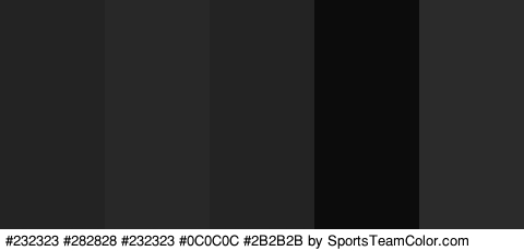 #232323 #282828 #232323 #0C0C0C #2B2B2B Colors