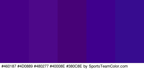 #460187 #4D0889 #480277 #40008E #380C8E Colors