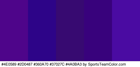 #4E0589 #2D0487 #360A70 #37027C #4A0BA3 Colors