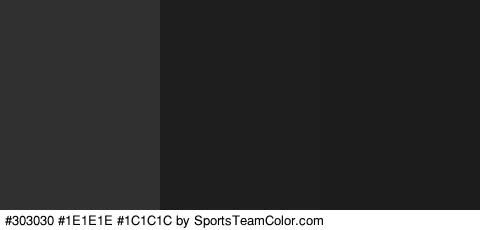 #303030 #1E1E1E #1C1C1C Colors