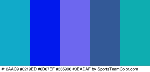 #12AAC9 #0219ED #6D67EF #335996 #0EADAF Colors