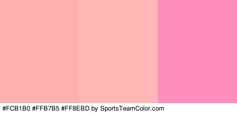 #FCB1B0 #FFB7B5 #FF8EBD Colors