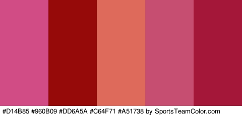 #D14B85 #960B09 #DD6A5A #C64F71 #A51738 Colors